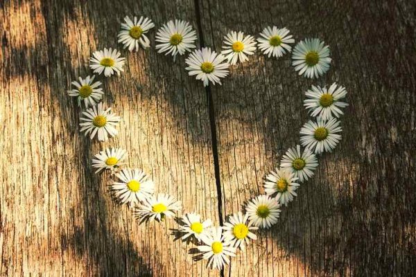 heart made by flowers