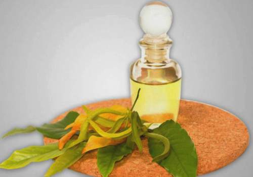 Ylang-ylang-essential-oil