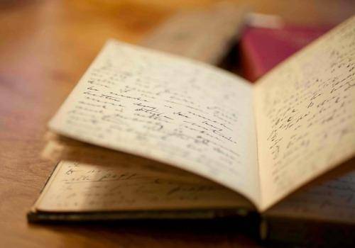 The-Austerity-Diaries