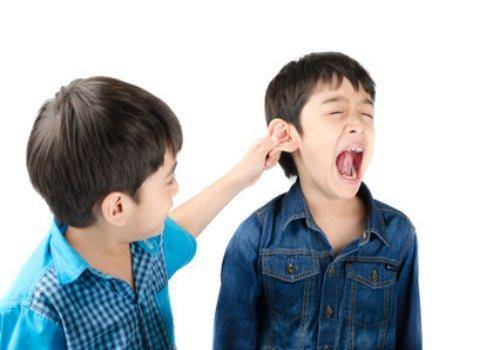 brothers fighting