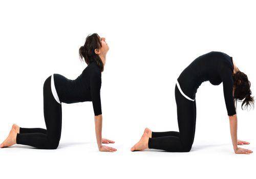 Cat and cow pose yoga
