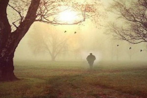 Man Walking in Park