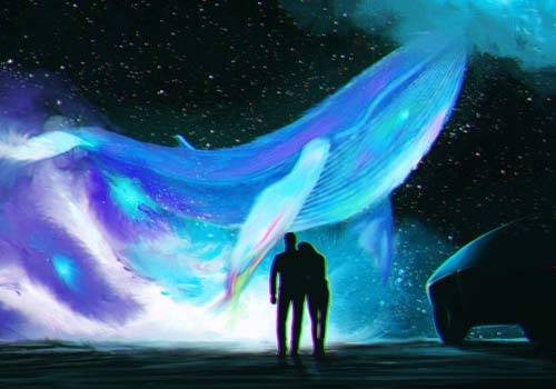 attraction