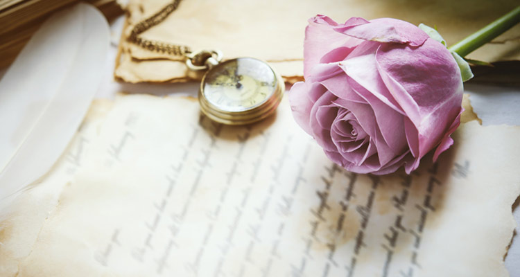 rosa