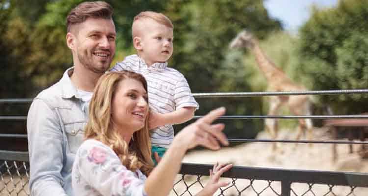 Family at the zoo