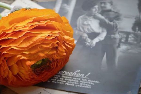 flower on a desk