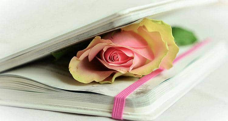 rose in a diary