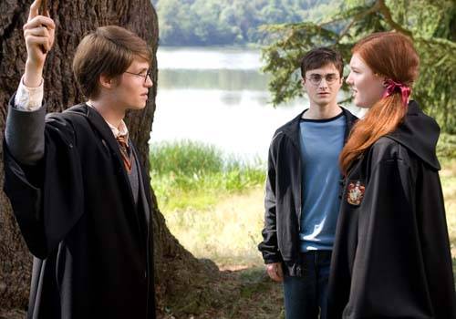 lily and james potter