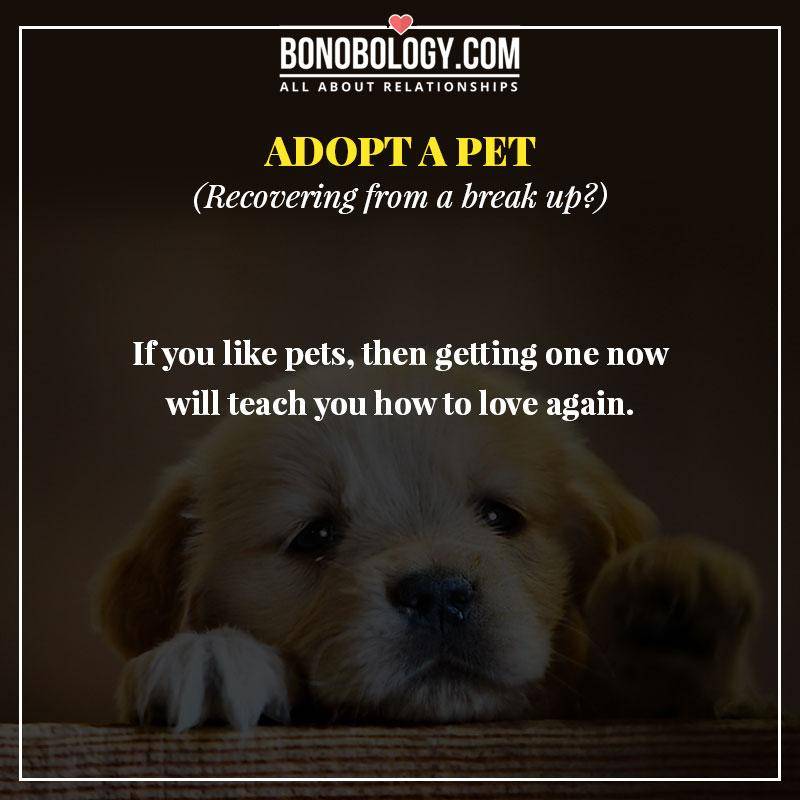 Adopt-a-pet