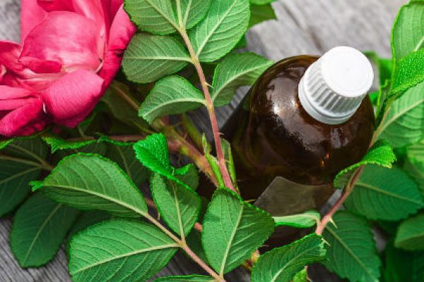 Essential oils for love