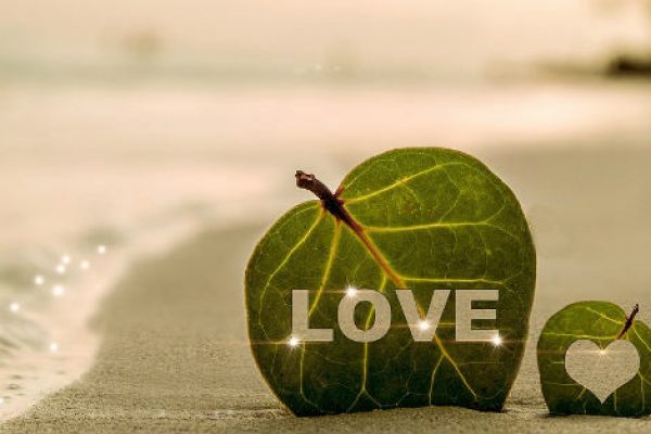 Love leaf on beach