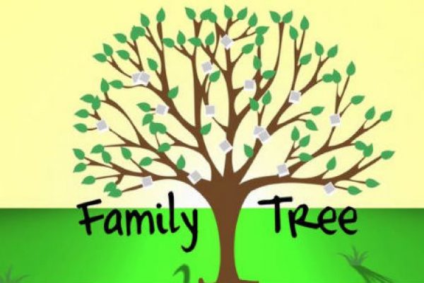 Family tree is useless