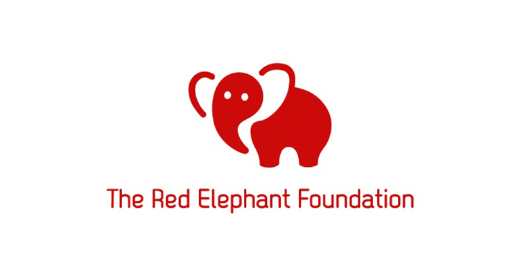 marital rape law - red elephant foundation 
