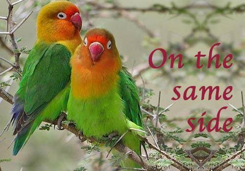 On the same side