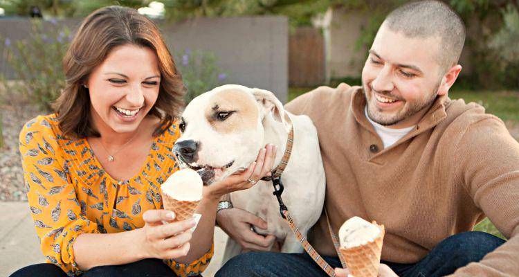 couple feeding pet