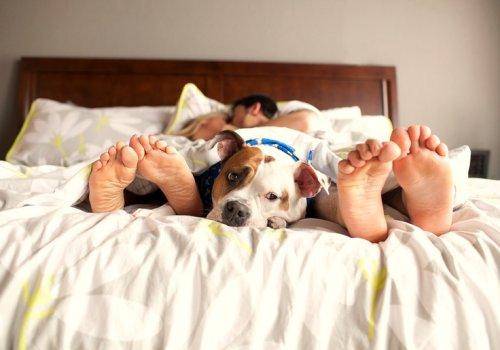 couple foot with dog