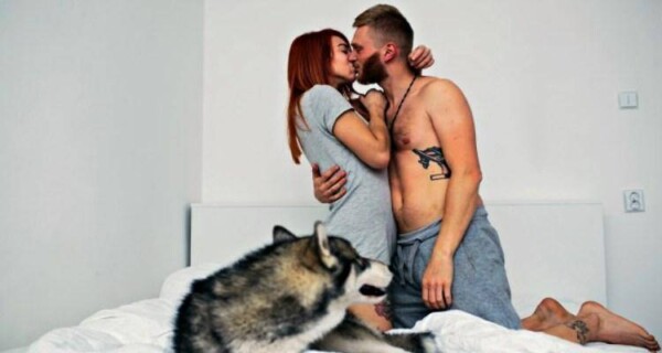 couple in bed with dog