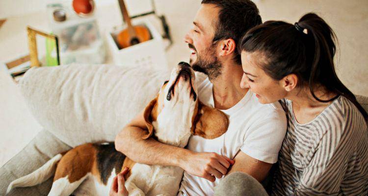 couple with cute dog