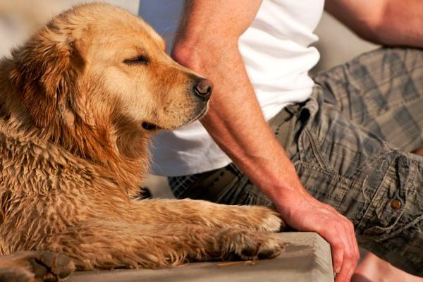 sad man with dog