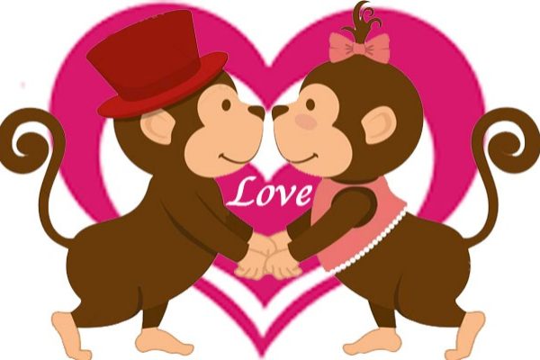 Bonobo love