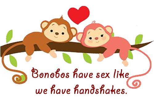 Have you wondered why we are called Bono bology  Well  here s the answer  - 81