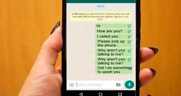 no message in whatsapp
