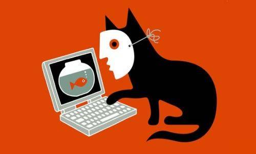 fake identity