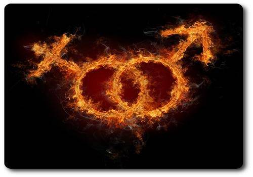 love-match-compatibility-reports