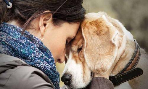sad lady with pet
