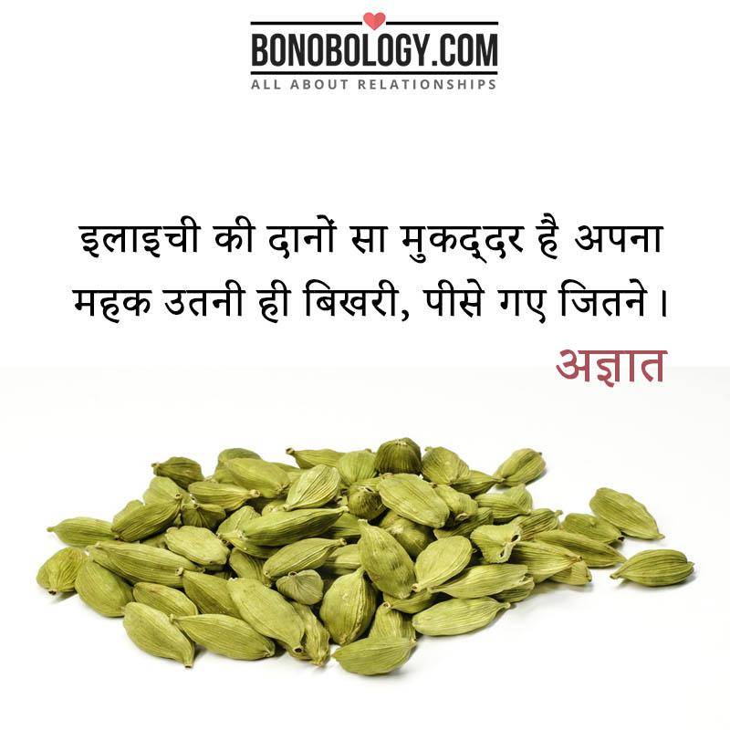 इलाइची