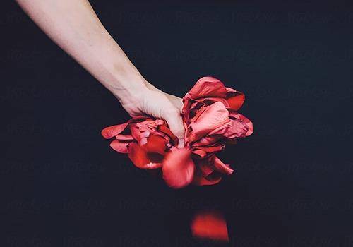 Dying love
