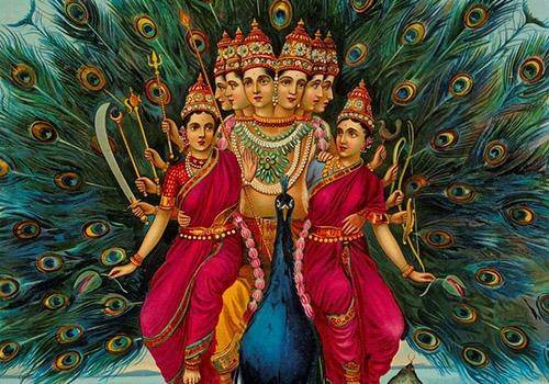 Lord Krishna divided the Parijat tree equally between his wives Rukmini and Satyabhama
