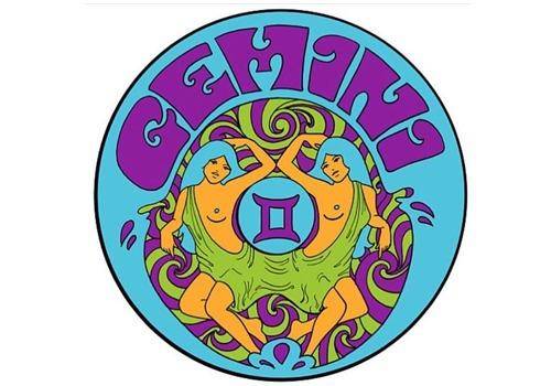 Zodiac Sign Gemini love to have intellectual talks