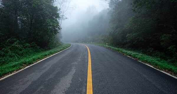 road-with-nature-forest-foggy-road-rain-forest