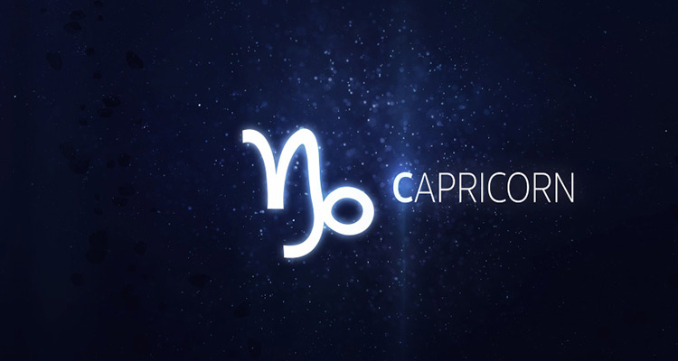 Capricorn - Extremely methodical