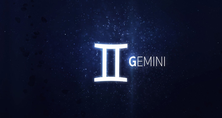 Gemini - The instinctive investigator