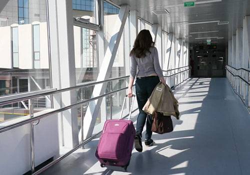 Carrying trolley bag