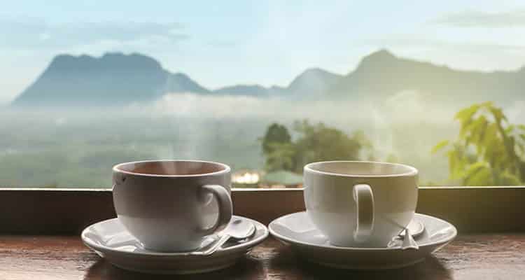Cup of tea
