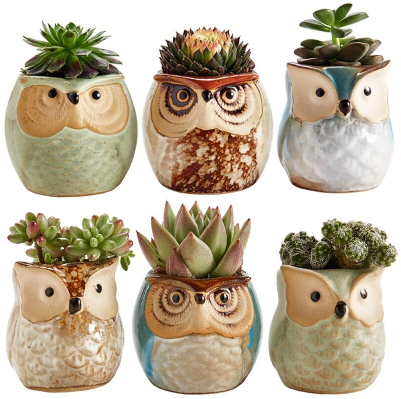 Sun-E owl Pot