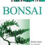 cool gifts for 50 year old woman - bonsai plant book