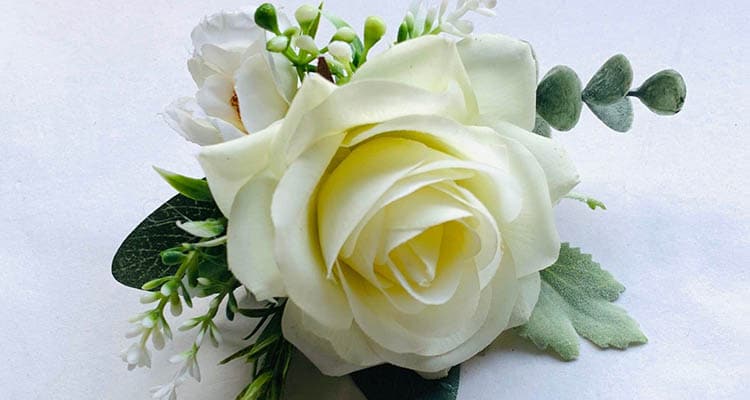 Cream rose meaning in a relationship