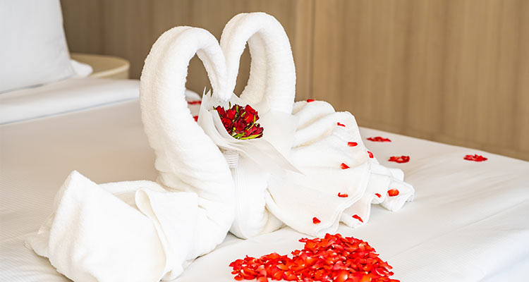 Toalla de cisne con pétalos de rosas rojas.