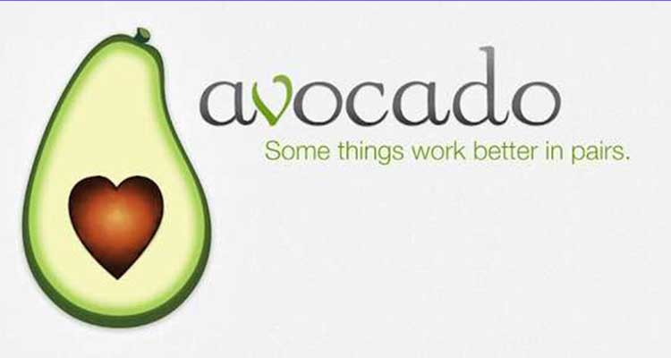 best private messaging app-Avocado