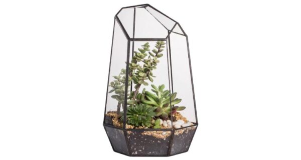 Gifts for engaged couples - Terrarium