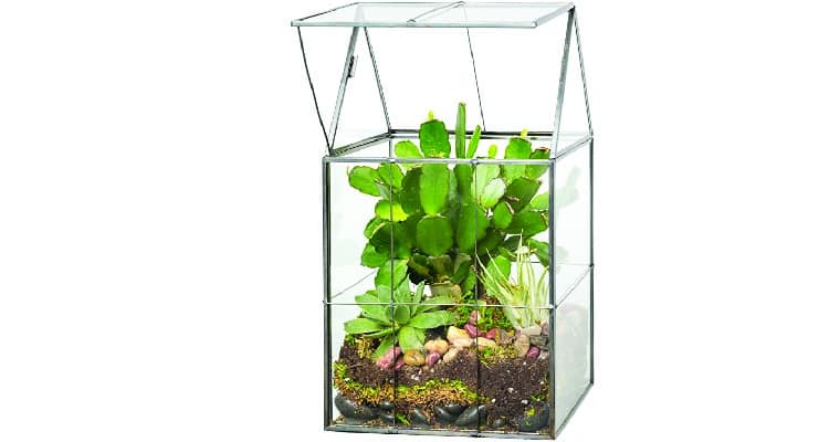 practical gifts for grandparents DIY terrarium