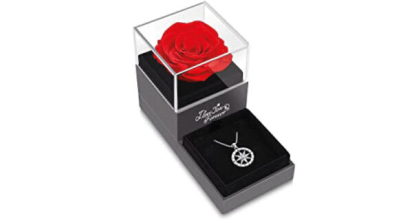 first wedding anniversary gift: Preserved real rose necklace