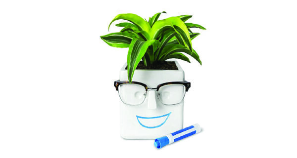 minimalist gifts for her - eye glass holder cum planter