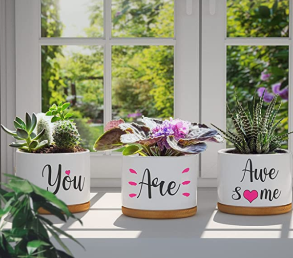 romantic gift ideas for boyfriend - succulent pots