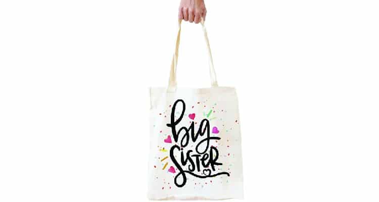 special sister gifts tote bag