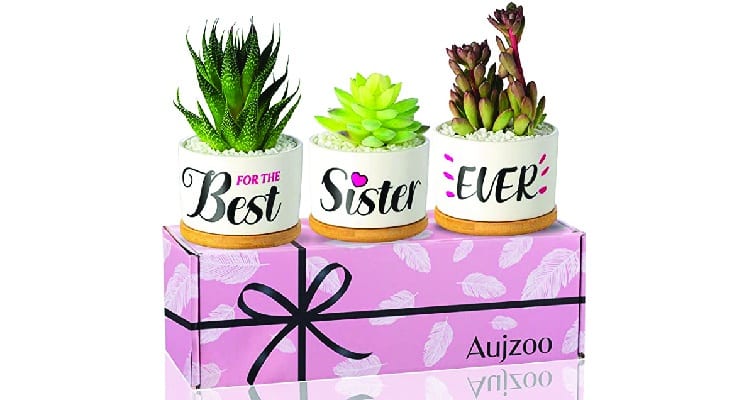 birthday gifts for sister who has everything succulents